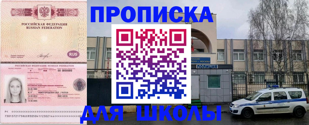 миграционный учет в Светлогорске